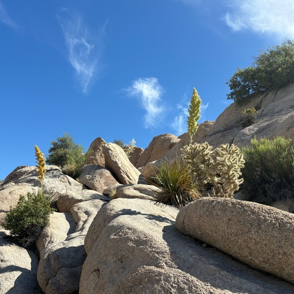 Meet your Posher, Beatrice - Picture 2 of 2